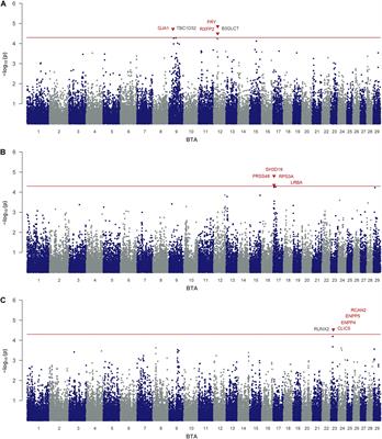 Identification of Genomic Regions Influencing N-Metabolism and N-Excretion in Lactating Holstein- Friesians